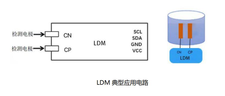 LDM-2.jpg