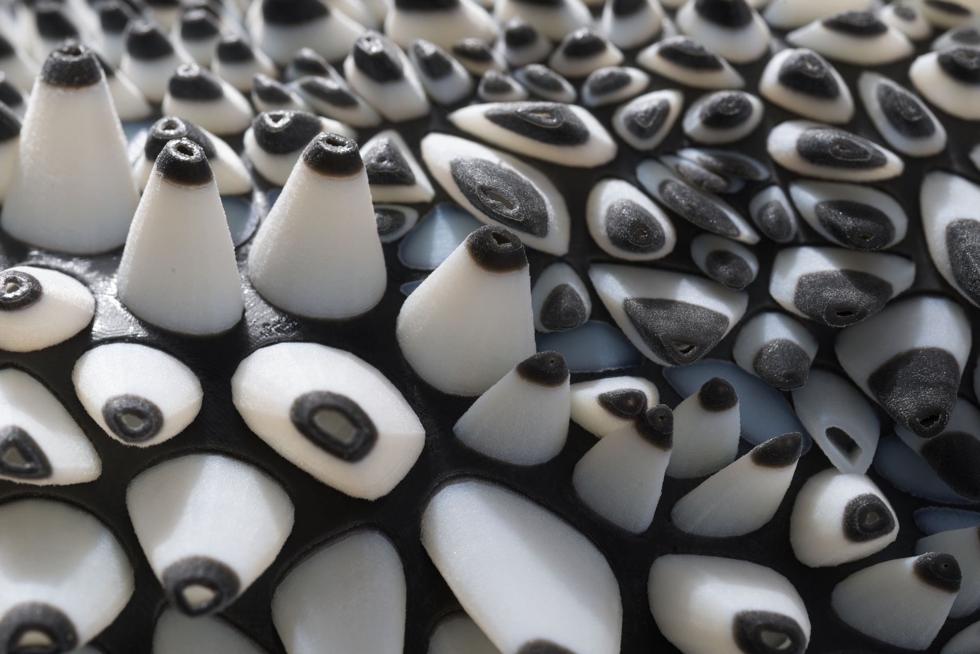 ˹ձIris van Herpen3Dӡʱװ֮·