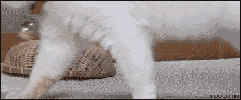 6.gif