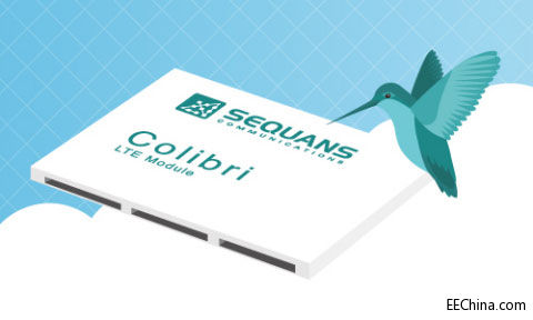 SEQ005.-Colibri.jpg