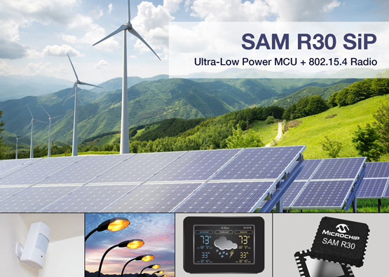 MicrochipƵSAM R30ϵͳװƷ