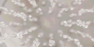 image003.gif