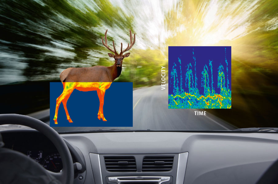 SpectrumƳܵ·״ֻ̽