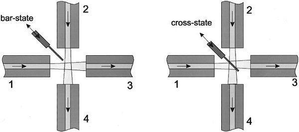 166.jpg