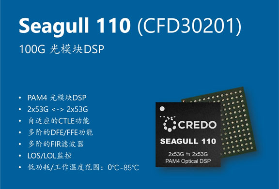 Credo DSP³ԱSeagull 110Seagull XR8