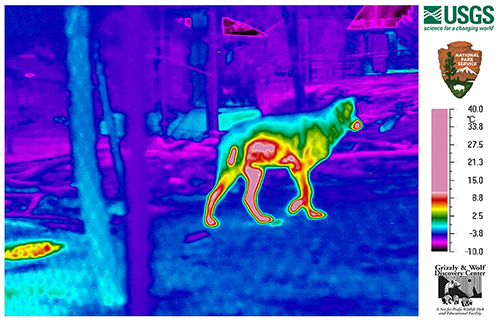 Future-Electronics-Thermal-Imaging-Figure-1.jpg