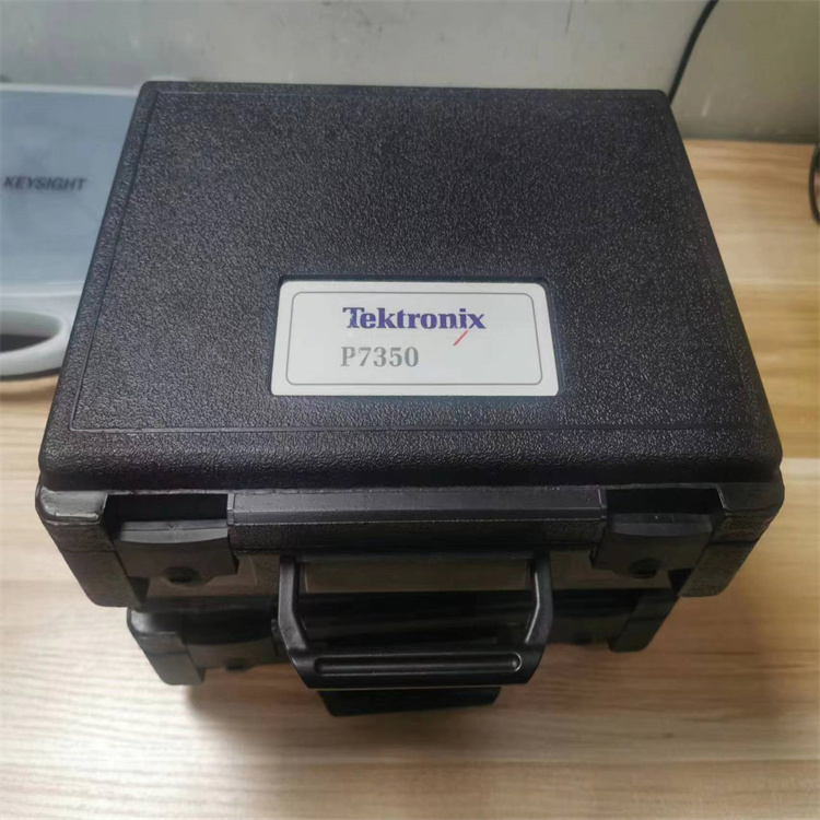 P7350_.jpg