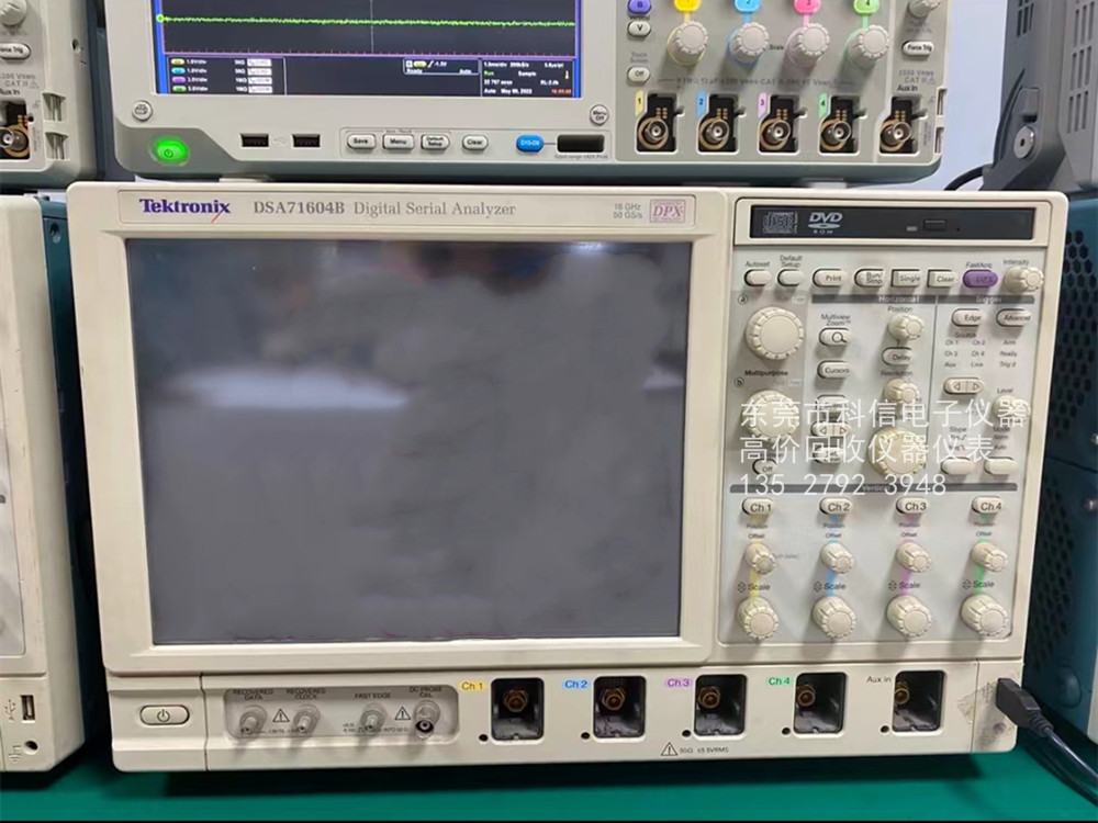 DSA71604B.jpg