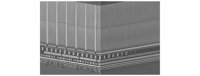 image003.png