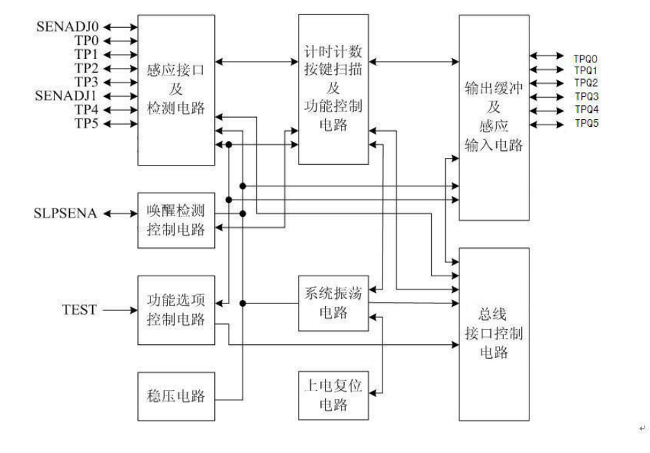 CT8225-1.jpg