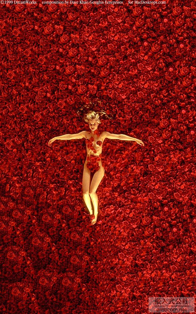 AmericanBeauty.jpg