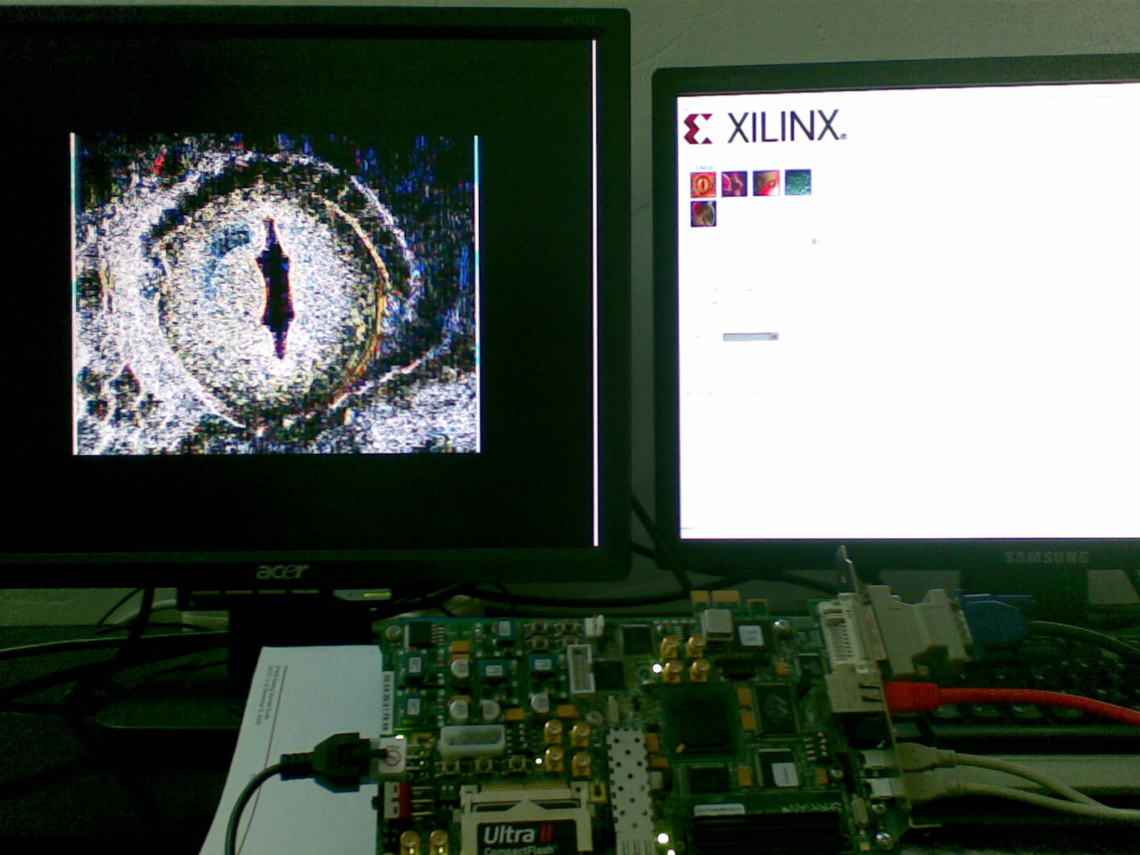 20101027_007.jpg