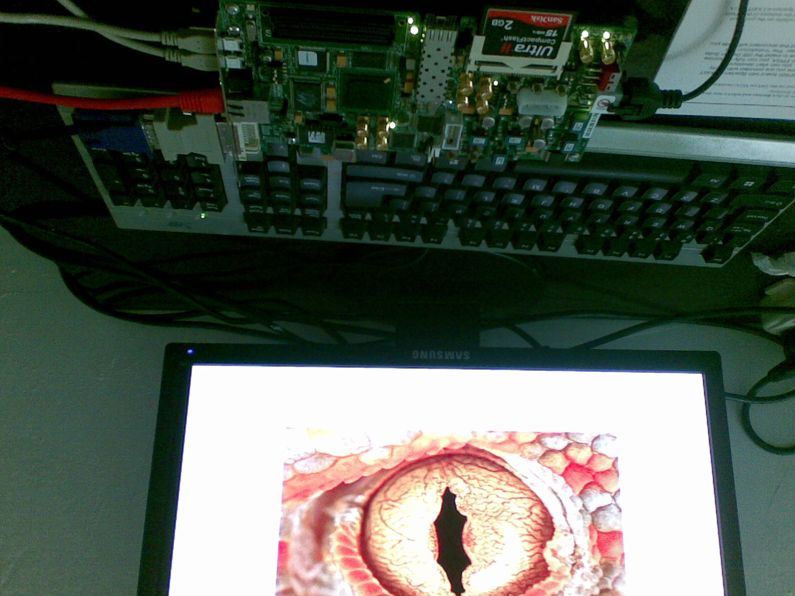 20101027_003.jpg