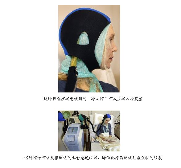 20110129113.jpg