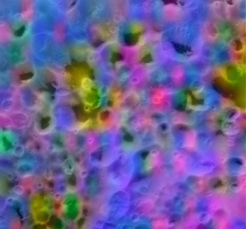 1029561590698828.jpg