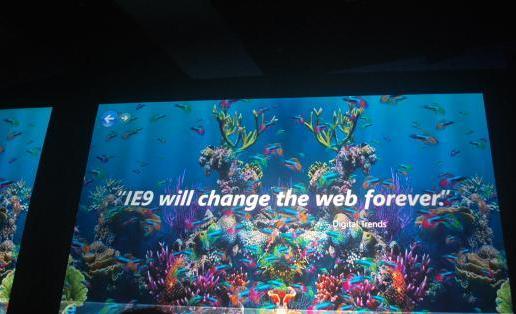 005056c000080f0f33b541.jpg