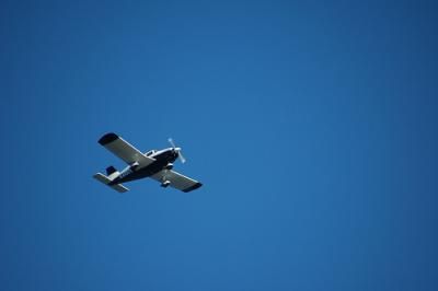 2009388720981706.jpg