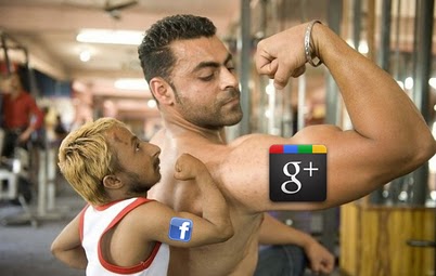 17353691680249272.jpg