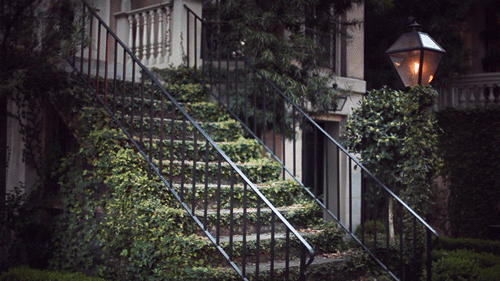 cinemagraphs-20.gif