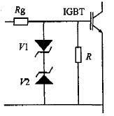 t5.jpg