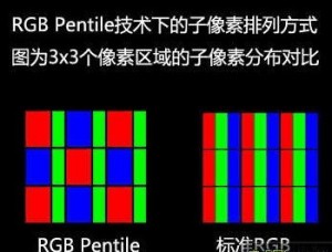 14362111369393202.jpg
