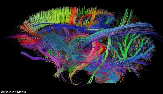 09523441010964475.jpg