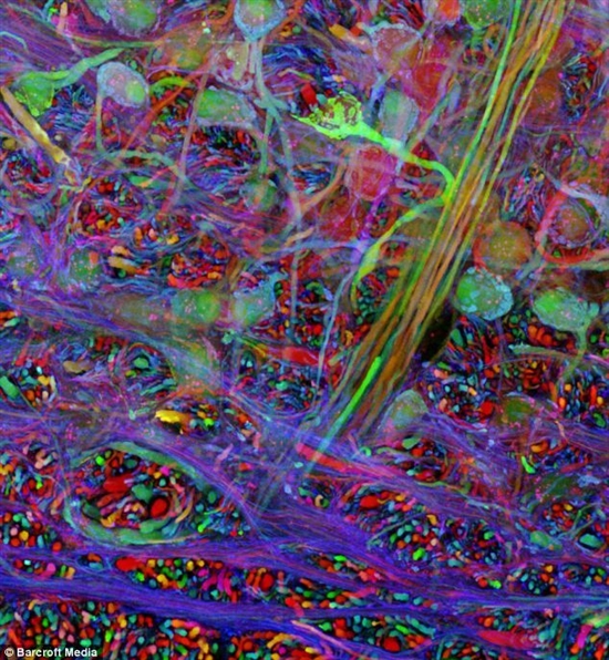 09523671177415396.jpg