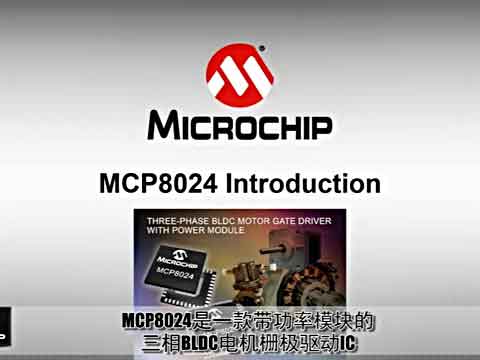 MCP8024Ƶ